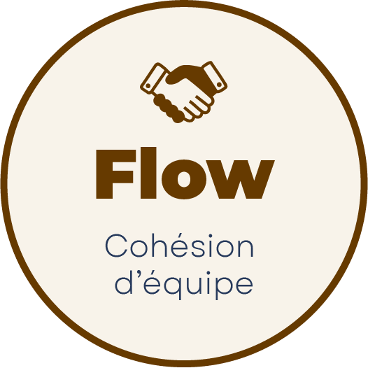 Flow cohésion d’équipe